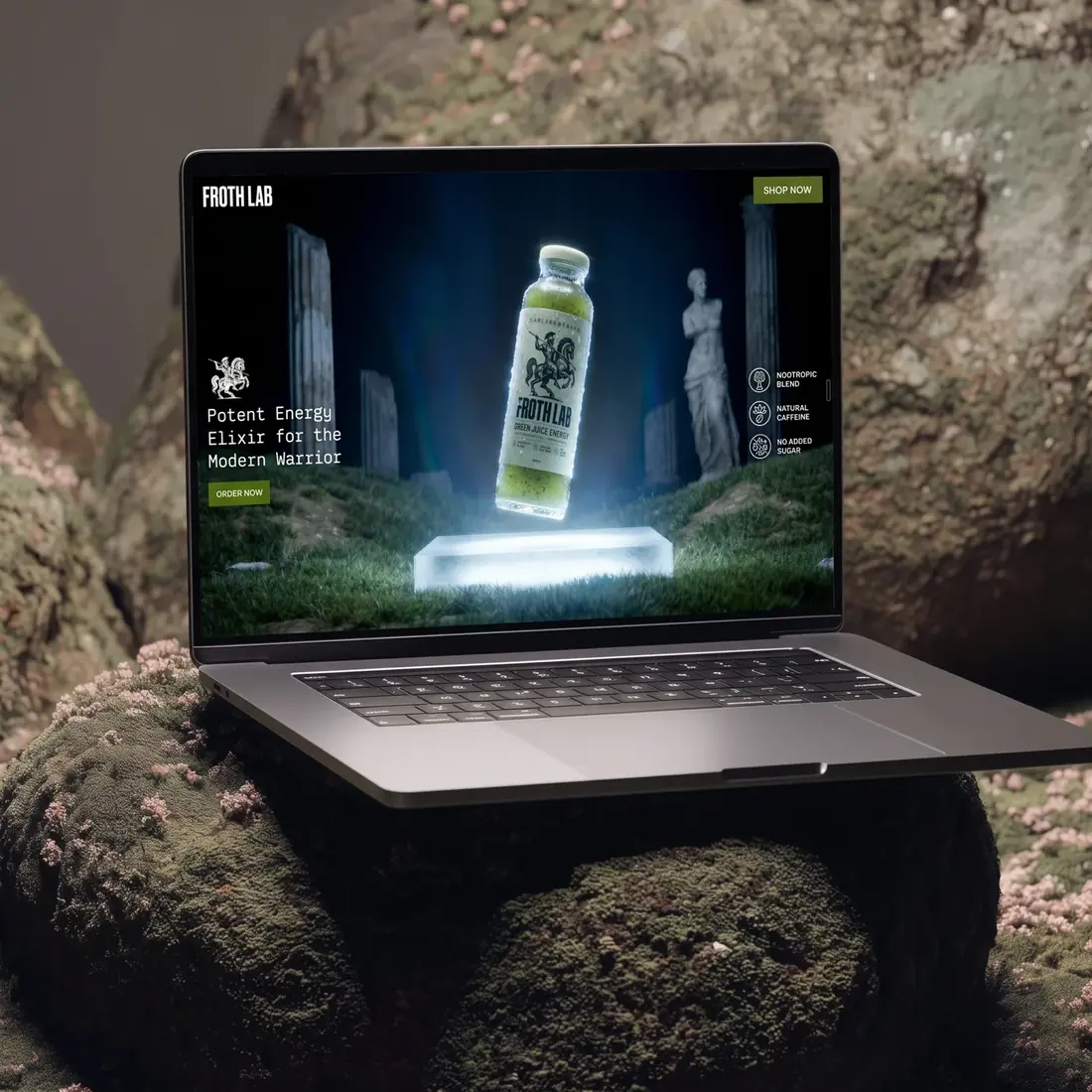 Froth Lab homepage on a laptop resting on mossy rock